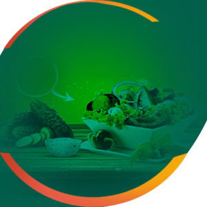 شوربات وسلطات